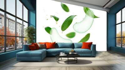 Flying aloe eye patches with tea leaves composition Wall mural