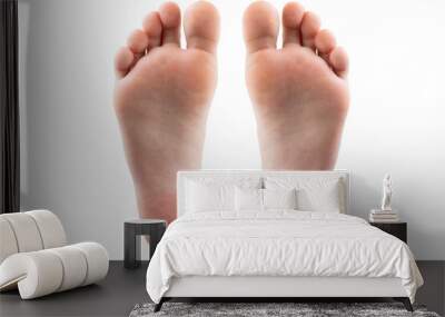 foot and heel on white background Wall mural