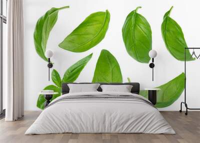 Set of flying basil leaves on white background Wall mural