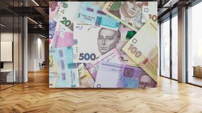 Ukrainian money. Different hryvnia. Wall mural