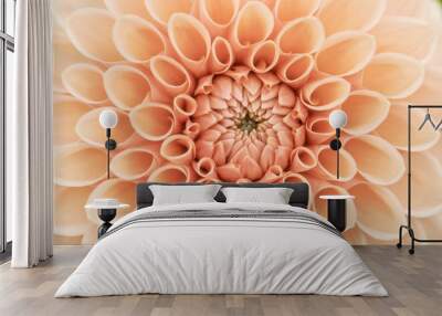 orange dahlia macro Wall mural