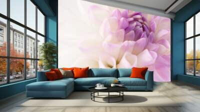 White dahlia close-up Wall mural