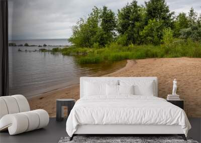 sandy beach, near a natural reservoir, sea with green, beautiful trees, water plants, grass, stones, sky in summer on a good day Wall mural