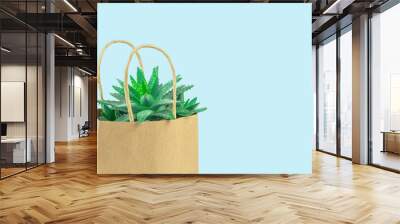 Cactus or succulent in an eco paper bag on blue. Environment friendly mock up. Florist sale or shopping. Greenery with copy space banner. Succulent aloe Wall mural