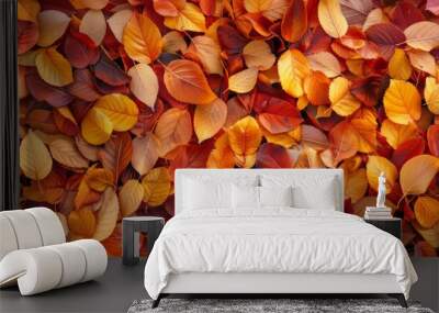 Autumn leaves pattern background top view Wall mural