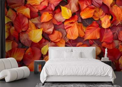 Autumn leaves pattern background top view Wall mural