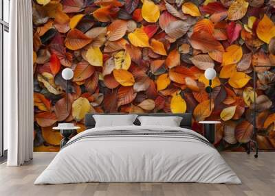 Autumn leaves pattern background top view Wall mural