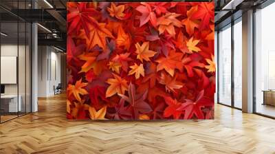 Autumn leaves pattern background top view Wall mural