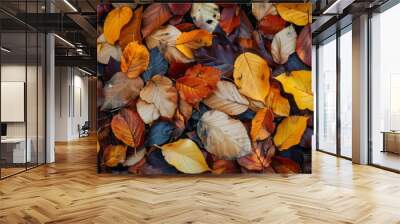 Autumn leaves pattern background top view Wall mural