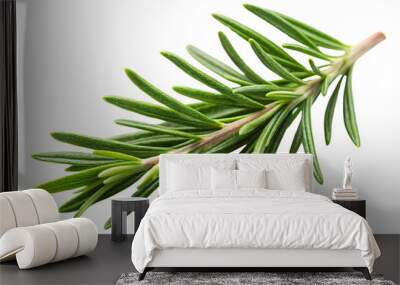 A close-up of a rosemary sprig, showcasing its needle-like leaves. The green hues are crisp and detailed against a transparent background Wall mural