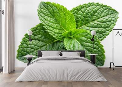 A close-up of a sprig of fresh mint leaves, with deep green, textured surfaces. The leaves overlap each other, filling the transparent background with their vibrant color Wall mural