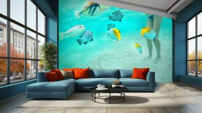 A beautiful girl among the inhabitants of the Indian Ocean. Undersea world. Coral fish. Fish swim around the girl's beautiful legs. Under the water. Beautiful sea. colorful ocean fish Wall mural