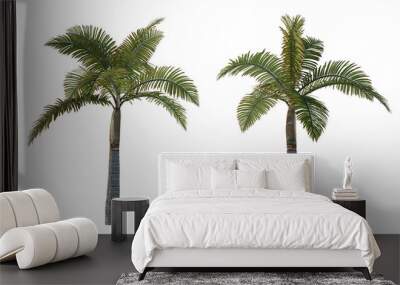 palm tree isolated on white background Wall mural