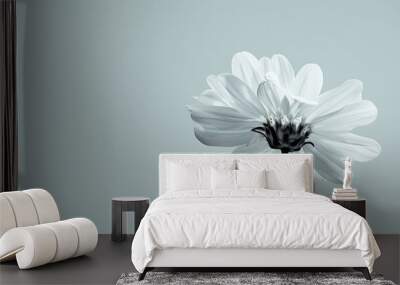 A minimalist photo of a single flower in full bloom, highlighting its delicate beauty and simplicity. Wall mural