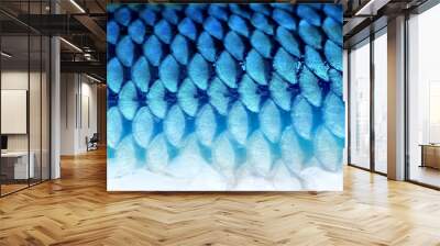 Photo background fragment of fish scales Wall mural