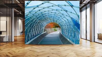 Structural glass facade curving roof and the wooden pathway inside. Abstract architecture fragment. Anyang art park in south korea Wall mural