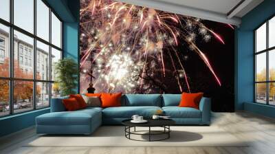 A dramatic shot of fireworks lighting up the night sky over a historic monument, capturing the essence of the celebration with plenty of dark sky for text. Wall mural