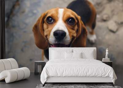 A happy beagle dog looks up with a broad smile, embodying a playful and affectionate nature in its demeanor, A cheerful beagle wagging its tail, Ai generated Wall mural