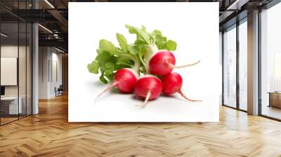 Radish isolated on white background Wall mural