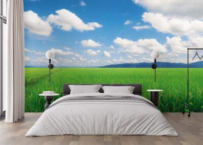 Lanscape green rice field with beautiful cloudy blue sky, main food energy and economic source, price product of asia country Wall mural