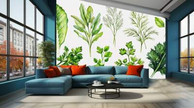 A detailed watercolor illustration featuring a collection of fresh herbs, showcasing lush green leaves of parsley, cilantro, and dill.
 Wall mural