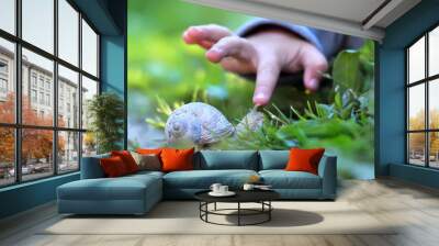 Child's finger pointing on the snail. Image with selective focus Wall mural