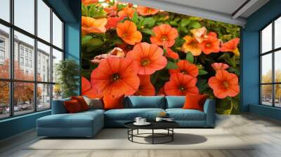 Close up of orange petunia or calibrachoa flowers. Wall mural