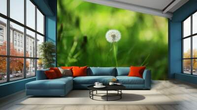 dandelion in the grass with green nature background Wall mural