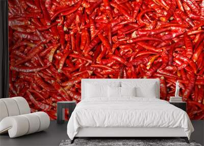 Hot sharp burning pods of ripe juicy red chili peppers. Natural ecological background. Wall mural