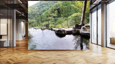 Izu Kawazu Odaru is outdoor public hot spring baths for guests to relax in Kawazu, Shizuoka, Japan. Wall mural