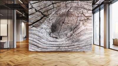 Old Weathered white wooden textured background
 Wall mural