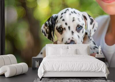 Woman holding in hands cute spotted white black dalmatian puppy in the park. Copy space. Close up. Wall mural