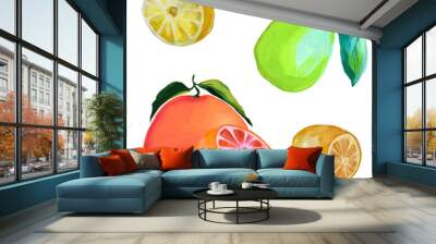 fruit of ripe grapefruit, lemon, lime, citrus fruit illustrations Wall mural