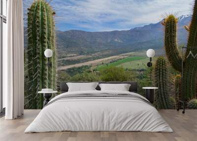 big cacti in the mountains. cacti growing in the mountains. height of two meters and above. against the mountain Wall mural