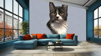 Cute black and white cat with big eyes isolated on gray background. Drawing of kitten. Good for print T-shirt, pillow. Realistic Hand Painted Illustration of Pets. Animal art collection: Domestic Cats Wall mural