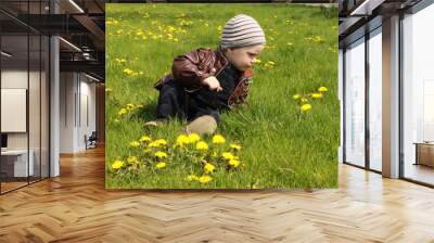 Portrait of beautiful little baby boy happy smiling, sitting on fresh green grass around blooming dandelions in the park Wall mural