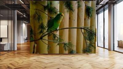 parrot on a branch Wall mural