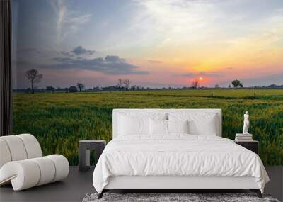 Evening sunset Uttar Pradesh India  Wall mural