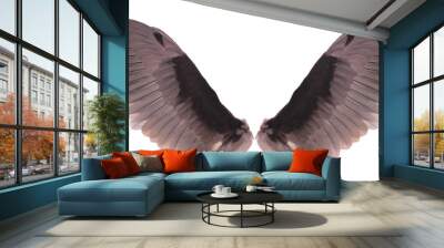 brown wings of bird on white background Wall mural