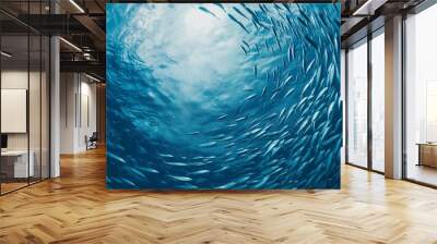 Many underwater fish are swimming in a circle shape, sea ​​fish Wall mural