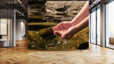 Hands holding clear transparent water from the river Wall mural