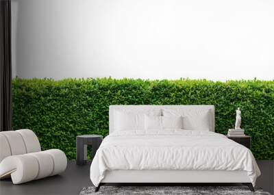 Panorama leaves wall isolated on white background Wall mural