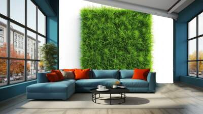 grass lawn. isolated meadow field. nature yard, green land carpet background. football ground surface Wall mural