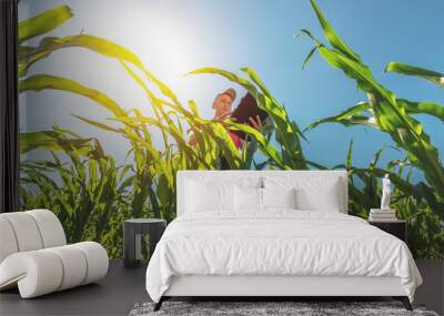 A young agronomist examines corn cobs on agricultural land. Farmer in a corn field on a sunny day Wall mural