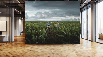 Two farmers in an agricultural corn field on a cloudy day. Agronomist in the field against the background of rainy clouds Wall mural