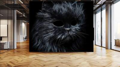 Fluffy black cat half-mask against a dark background representing quadrobics and subculture styles Wall mural