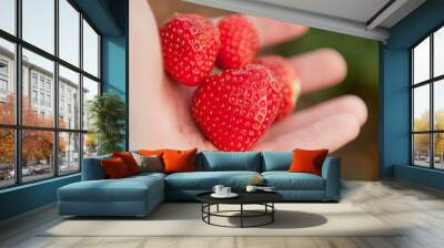 Strawberry in hand Wall mural