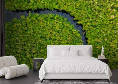 Perpendicular aerial view of a serene amazonian river cutting through untouched rainforest canopy Wall mural