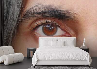 Right amber colored eye looking at camera Wall mural