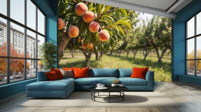 Peach tree close up fruit orchard background with Ripe apricot fruits on branch with leaves in apricot garden and blue sky Ai generative. Wall mural